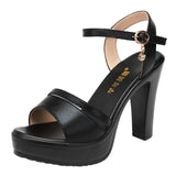 Model Catwalk High-Heel Thick-Heeled Sandals Women 2023 New Thick-Soled Waterproof Platform Fish Mouth Sandals