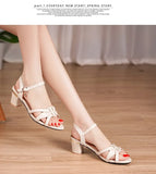 6CM Summer Women Sandals PU Leather 2023 New Large Size Comfort Square Heel Sandals Open Toe Shoes Woman Fashion