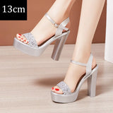 2021 Summer Sexy Women High Heels Sandals 13cm Stripper Shoes Party Pumps Shoes Women Platform Sandals Open