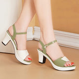 Women's Heels Summer 2023 New Heels Open Toe Buckle Fashion Wear Mother Shoes Thick Heel Women's