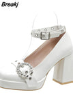 Women Mary Janes Pumps Shoes Brand Design 2023 Spring Gothic Style Lolita Sweet Girl Office Lady High Heels Pumps