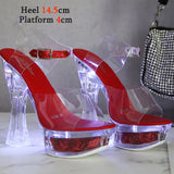 Glowing Sandals Women 2023 Summer New Flowers Transparent High Heels 14.5cm Platform Thick heel Ladies Banquet