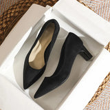 Style Pumps Pointed Black High Heels for Women 5cm 7cm 9cm Versatile Commuting Single Shoes Fashion Heels Women