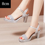 2021 Summer Sexy Women High Heels Sandals 13cm Stripper Shoes Party Pumps Shoes Women Platform Sandals Open