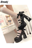 Women Mary Janes Pumps Shoes Brand Design 2023 Spring Gothic Style Lolita Sweet Girl Office Lady High Heels Pumps