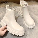 Autumn Winter Chelsea Boots Women Platform Ankle Boots For Women Fur Short Chunky Punk Gothic Shoes ankle boots botas