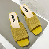 Summer Mid Heels Open Toe Flip Flops Fashion Mesh Women Slippers Shoes Sandals Trend New Party Shoes Dress Ladies