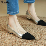 Fashion Casual New Women's Flat Shoes Simple Shallow Mouth Pointed Toe Color Matching Temperament Single