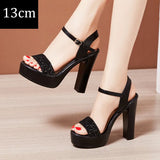 2021 Summer Sexy Women High Heels Sandals 13cm Stripper Shoes Party Pumps Shoes Women Platform Sandals Open