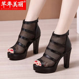 Thick-Heeled Sandals Women's 2023 Summer New Net Gauze Fish Mouth Shoes Women's Waterproof Table Hollowed-Out Roman
