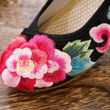 Breakj Heel Single Shoes Spring And Summer New Thick Heel Women's Shoes Cheongsam Embroidered Shoes Mary Jane Retro National Style High Heel National Style