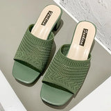 Summer Mid Heels Open Toe Flip Flops Fashion Mesh Women Slippers Shoes Sandals Trend New Party Shoes Dress Ladies