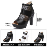 Sandals Women's 2023 Summer New High-Heeled Waterproof Table Fish Mouth Mesh Hollowed-Out British Thick-Heeled