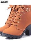 Autumn Women Boots Ladies Thick Fur Ankle Boots Plus Size Women Pumps Women High Heel Platform Rubber Shoes Snow