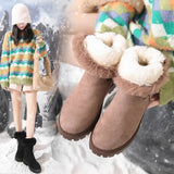 New Plus Velvet Warm Snow Women's boots Female Short Tube Cotton Boots Tassel Zipper Boots Cotton Shoes Botas
