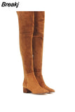 Winter Women Over-the-knee Boots Round Toe Mid-heel Faux Side Zipper Plush Botas Mujer Classics Suede Thigh High