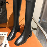 Winter Women Stretch High Boots Square Heel Soft Leather Ladies Knee-High Boots Female Casual Long