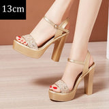 2021 Summer Sexy Women High Heels Sandals 13cm Stripper Shoes Party Pumps Shoes Women Platform Sandals Open