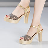 Buckle Sandals Fairy Style 2023 New Silver High Heels Women's Large-Size Thick-Heeled Fish Mouth