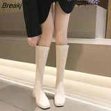 Winter Women Stretch High Boots Square Heel Soft Leather Ladies Knee-High Boots Female Casual Long
