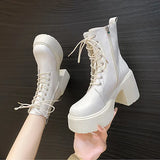 Platform Short Plush Women Short Boots Fashion Ladies Elegant Lace Up Ankle Boot Outdoor Thick Bottom Motorcycle