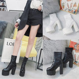 Autumn Winter Platform Boots High Heels Back Zipper Black White Short Boots For Women Waterproof Gothic