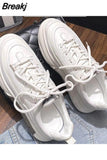 Autumn New Women's Flat Sneakers Plaid Women's Platform Casual Breathable Shoes Lace Up Vulcanized Shoes Tenis