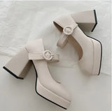 Shoes Spring New Korean Version Of Wild Thick-heeled Square Toe French Retro Mary Jane Shoes