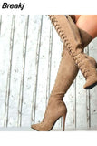 foreign trade style 2023 autumn and winter sexy thin heel super high heel pointed 40-43 knee high women's