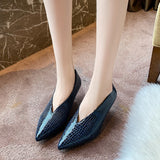 Shoes Women 2023 All-match Retro Women's Thick Heel Spring and Autumn New Pointed V Mouth Comfortable High