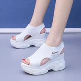 Breakj Knit Platform Sandals Lady Summer Mesh Round Head Fish Mouth Toe Cover Foot Sports Student Casual