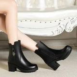 Boots Women 2024 New Thick Plush Ankle Snow Boots Women High Heels Botas Mujer Invierno Outdoor Women Casual Warm
