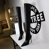 Breakj Fashion Simple Thin Heel High Heel Pointed Winter Sexy Nightclub Show Slender Over The Knee