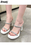 Fashion Brand Sandals 2023 European Style Sexy Chunky Heeled Women Sandals Comfort Walking Lady Shoes Sandals Spring
