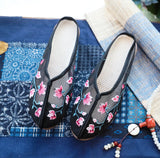 Breakj Mesh Shoes Embroidered Sandals Cloth Shoes Women Summer Fashion Mesh Embroidered Women Sandals