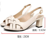 5.5cm Women's Sandals Summer Mesh Fish Mouth Chunky Heel Semi-High Heeled Hollow Out Soft Bottom Shoes Zapatos Para
