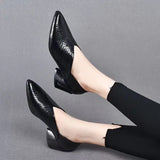 Spring and Autumn New Pointed Fashion Simple Leather Outerwear Versatile High Heel Shoes for Women's Single Shoes for