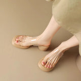 Breakj Zi Yan French Transparent High Heel Slippers Summer Women Wear Thick Bottom Thick Heel Comfortable Soft Foot