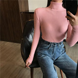 Women high neck Sweater Pullovers Turtleneck Autumn Winter Basic Women Sweaters Slim Fit