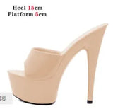 Slippers Women Summer New Black High Heels 15cm Color Club Sexy High Platform Thin Party Girl Show Sandals Plus Size