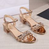 Women Sandals 2023 Heels Casual Shoes Womens Open Toe Summer Gold Shoes Square Female Buckle Strap Low Heels Footwear Woman