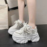 Breakj Spring And Autumn New Korean Version Of The Color Father Shoes Female Ins Tide Pine Platform Increased Women's Casual Sports