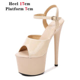 Dance Shoes Women Sandals Stripper High Heels Women Sexy Show Shoes Girl Party Club 13 15 17 CM Platform High-heeled