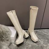Heels Elastic Micro Knee High Boots for Women Punk Style Autumn Winter Chunky Platform High Boots Party Shoes