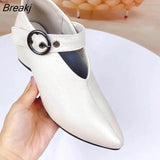 Women's High Heels Spring Autumn New Fashion Soft Leather Pumps Sandals Korean Style Pointed Toe Thick Heel