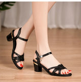 6CM Summer Women Sandals PU Leather 2023 New Large Size Comfort Square Heel Sandals Open Toe Shoes Woman Fashion