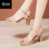 2021 Summer Sexy Women High Heels Sandals 13cm Stripper Shoes Party Pumps Shoes Women Platform Sandals Open