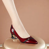 Heel Thick Heel Versatile New Soft Sole Professional Shallow Mouth Comfortable Pointed Women'S