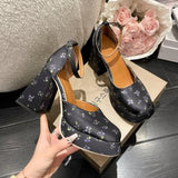 High-Heeled Shoes Women's 2024 New Style Ultra-High Heels Waterproof Table Thick Heels With Mary Jane Single