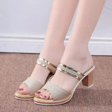 and Slippers Women Summer Net Infrared Wear Fashion 2023 New All-match Thick Heels Casual Flip-flops High-heeled